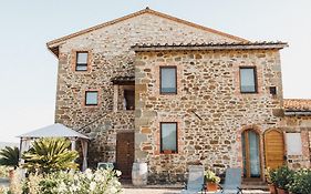 Podere Biricocolo - Il Cortile